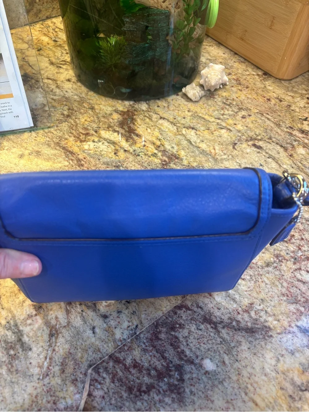 COACH Taylor Distressed Leather Wristlet/Clutch